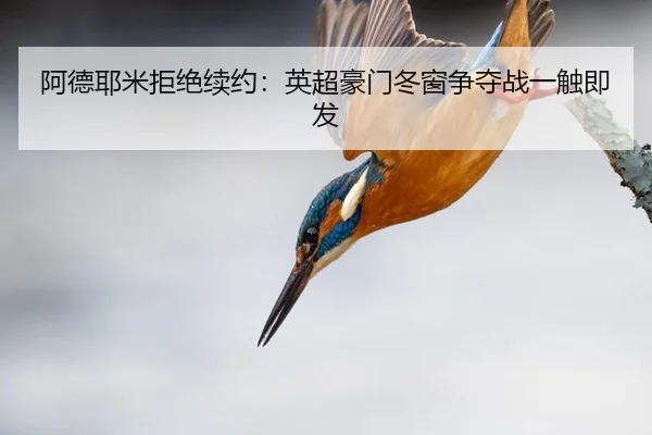 a-de-ye-mi-ju-jue-xu-yue-ying-chao-hao-men-dong-chuang-zheng-duo-zhan-yi-chu-ji-fa-2-491.jpg