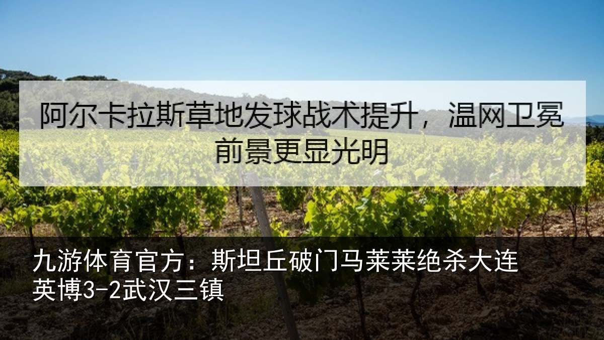 九游体育官方：斯坦丘破门马莱莱绝杀大连英博3-2武汉三镇
