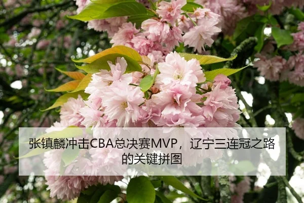 zhang-zhen-lin-chong-ji-zong-jue-sai-liao-ning-san-lian-guan-zhi-lu-de-guan-jian-pin-tu-3-565.jpg