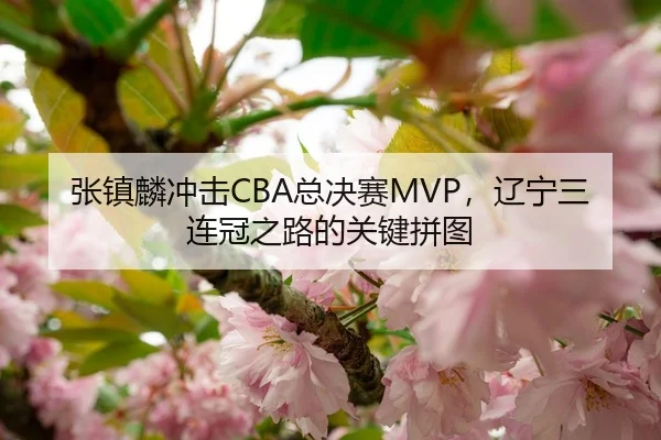 张镇麟冲击CBA总决赛MVP，辽宁三连冠之路的关键拼图