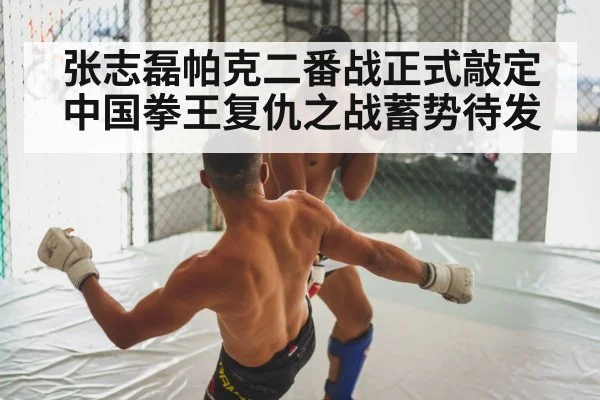 张志磊帕克二番战正式敲定中国拳王复仇之战蓄势待发