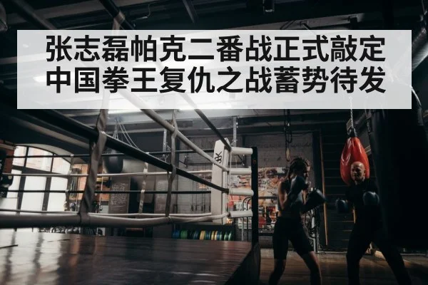 boxer training