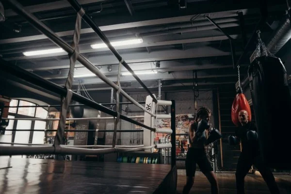 boxer training